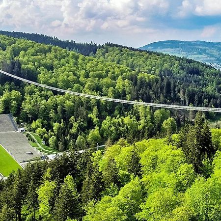 Fewo Penthaus-Blick Willingen  Εξωτερικό φωτογραφία