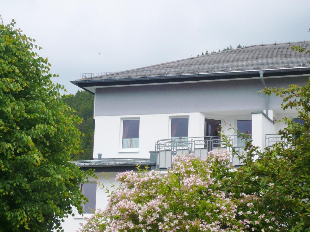 Fewo Penthaus-Blick Willingen  Εξωτερικό φωτογραφία